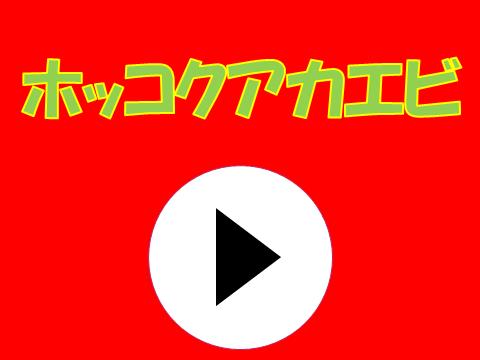 ホッコクアカエビ