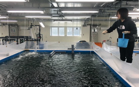 技術開発研究の推進1