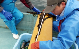 技術開発研究の推進2