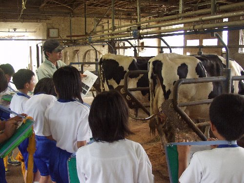 ���w���i